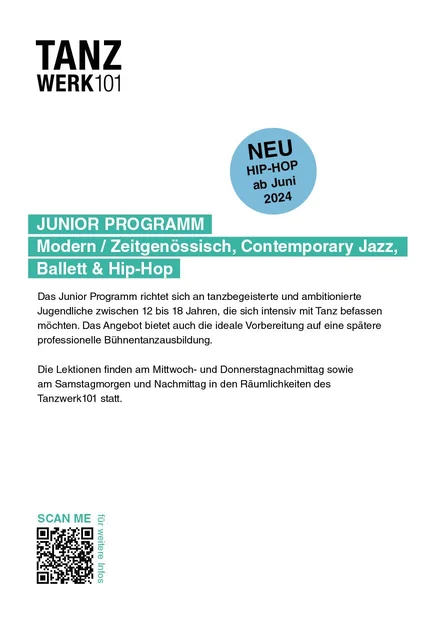 flyer junior programm